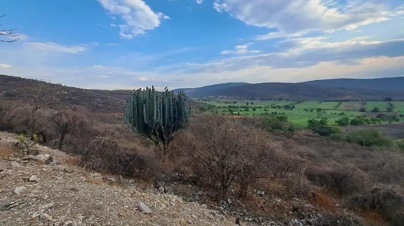 Los Túneles de Zapata - Anenecuilco